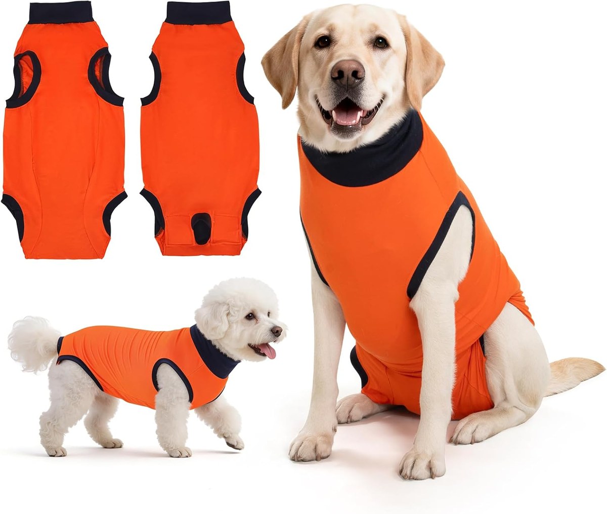 Avont Dog Recovery Suit, Cone Alternative