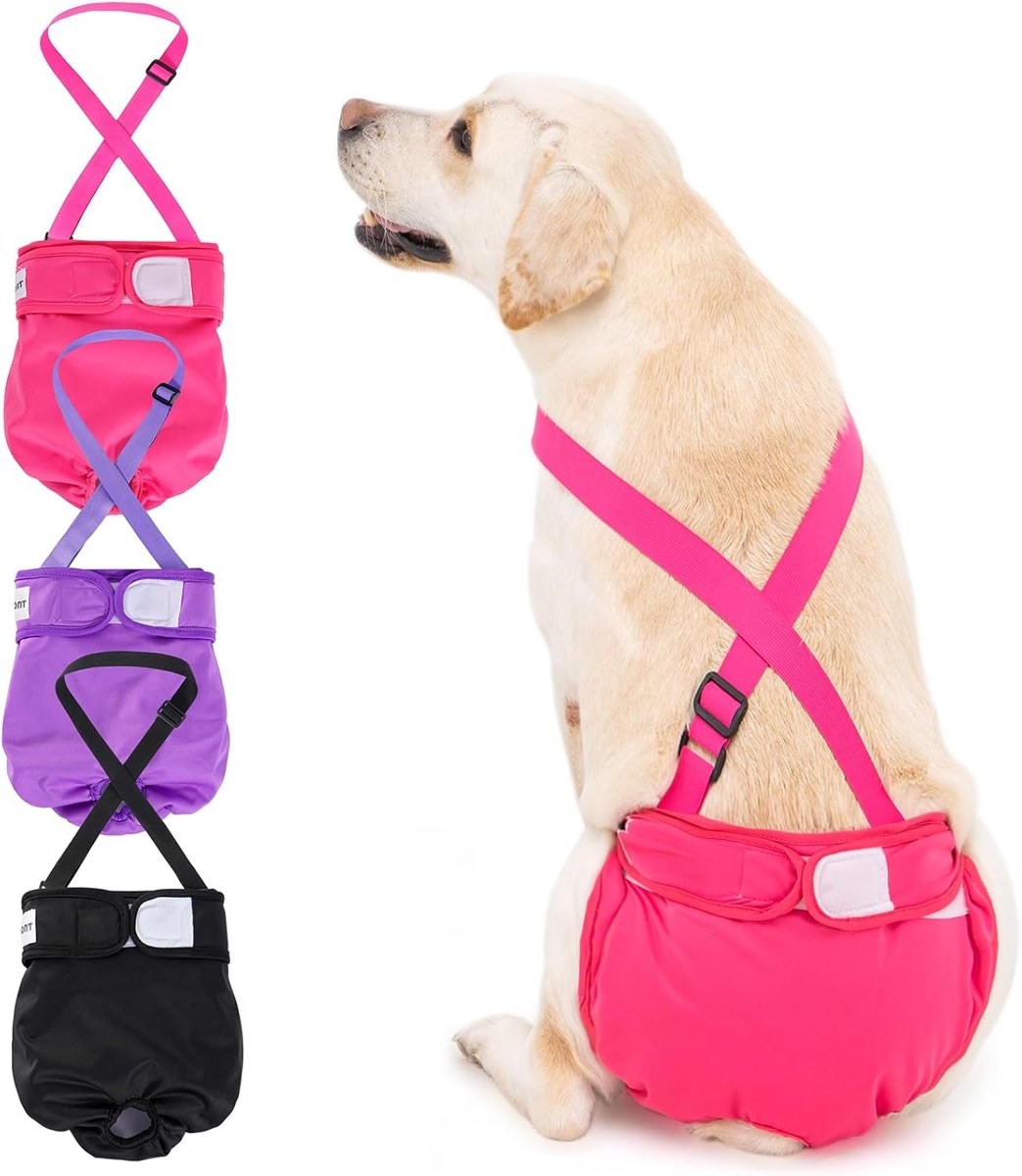Avont 3-Pack Female Dog Diapers with Suspenders