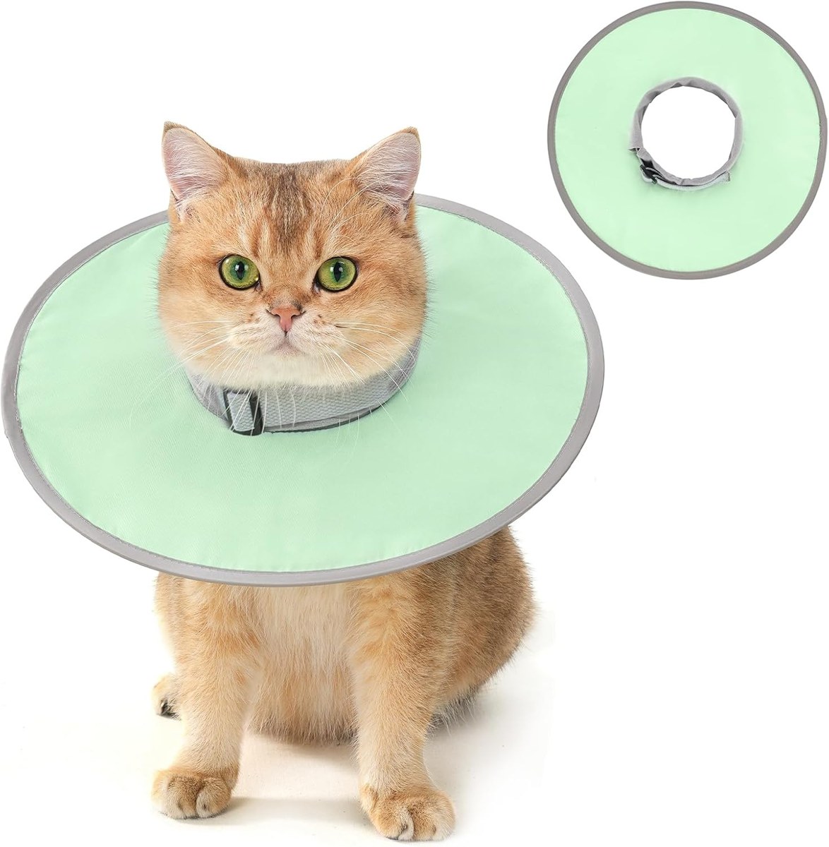 Avont Waterproof Foldable E-Collar