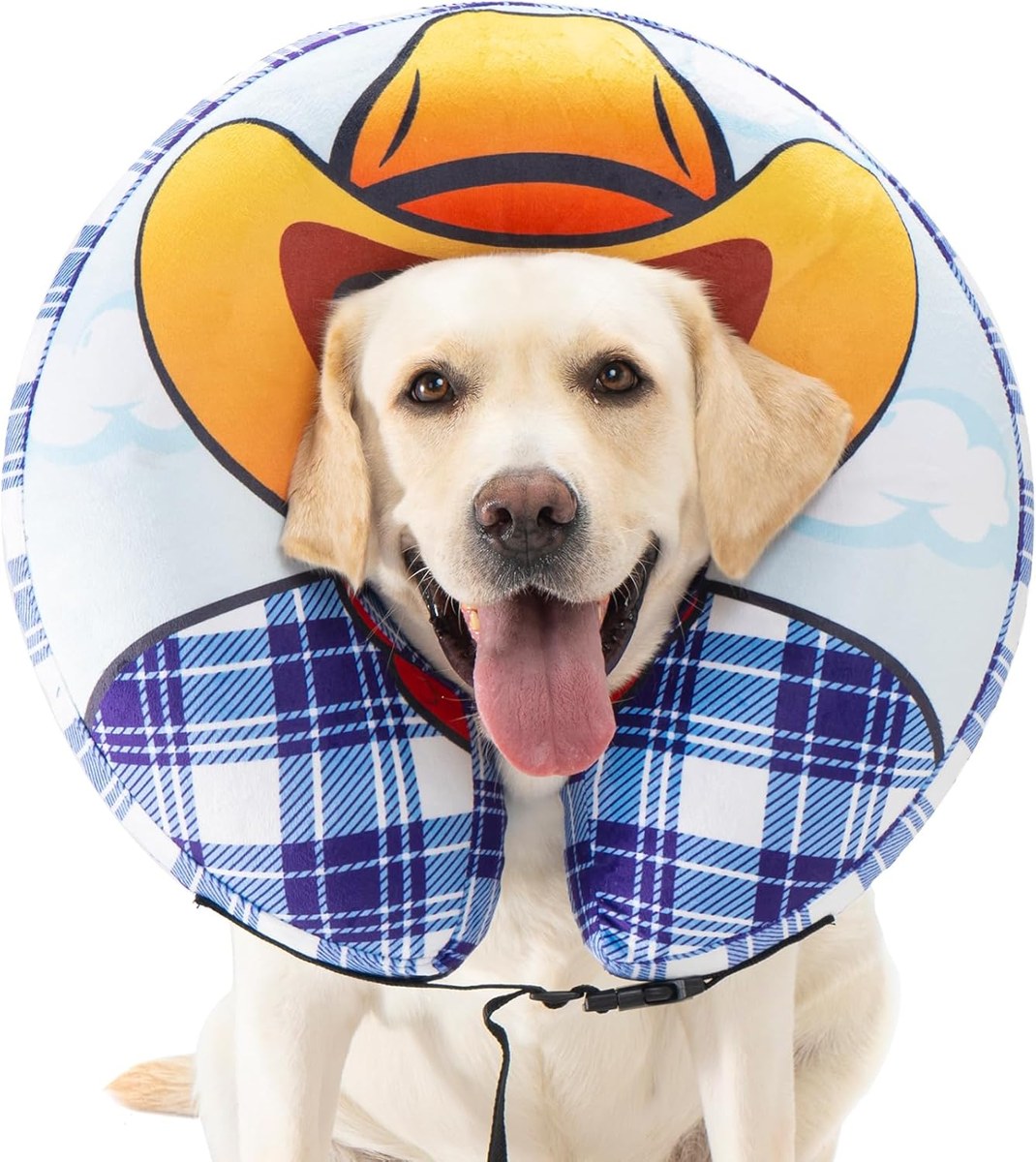 Avont Inflatable Cowboy Dog Cone Collar