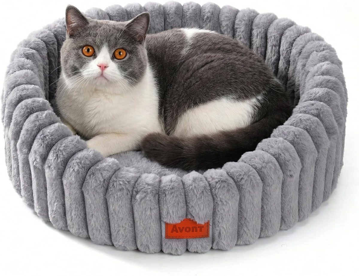 Avont Fluffy Cat Bed with Raised Rim