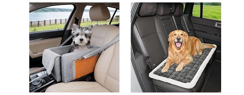 Avont Console Car Seat + Back Seat Bed, No. 1