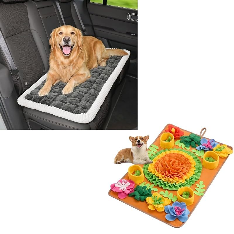 Avont Console Car Seat + Snuffle Mat