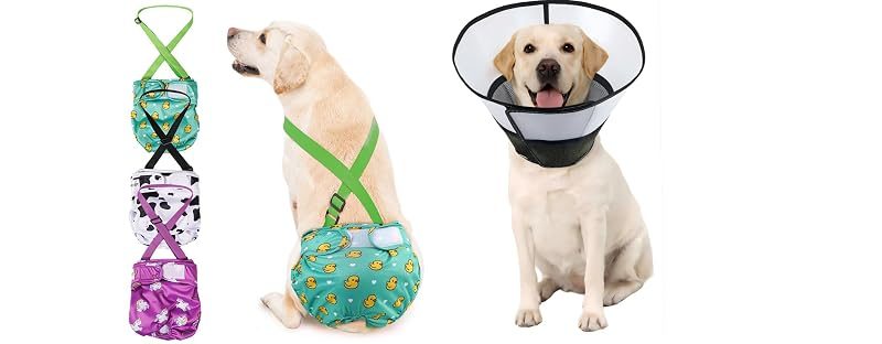 Avont Female Dog Diapers + Recovery Cone, No. 4
