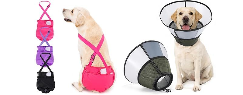 Avont Female Dog Diapers + Recovery Cone, No. 5