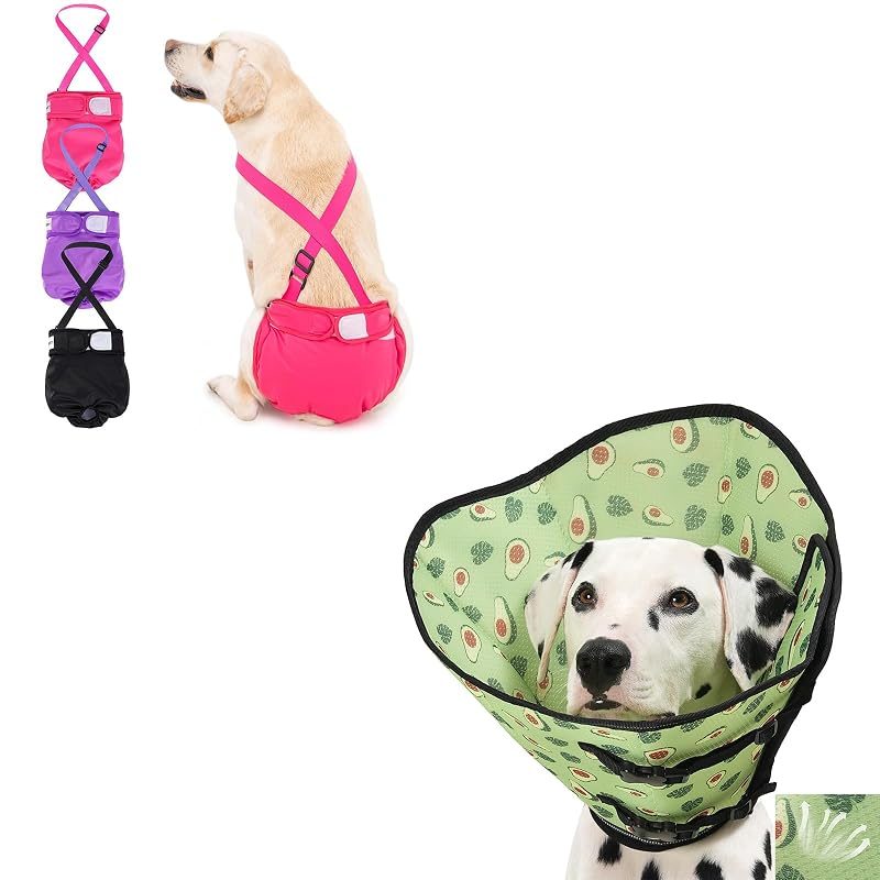 Avont Female Dog Diapers + Recovery Cone, size L
