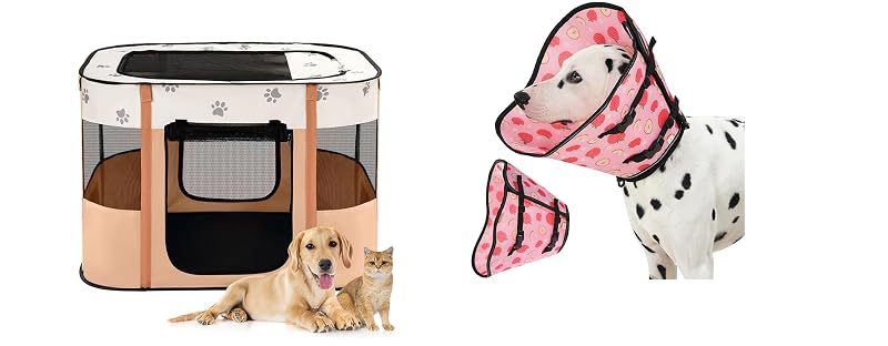 Avont Playpen + Recovery Cone