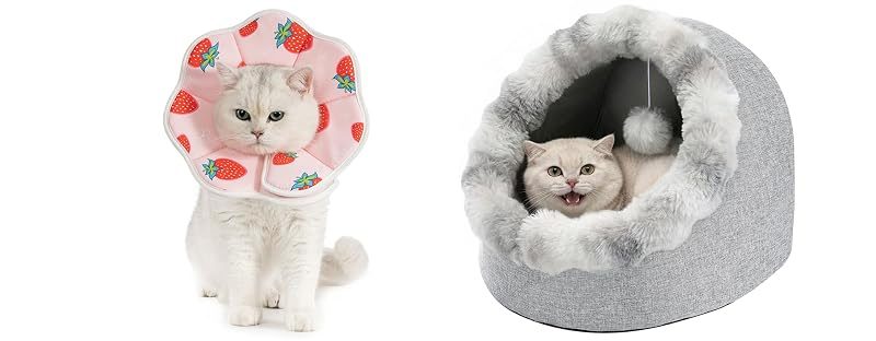 Avont Recovery Cone + Cat Bed Cave