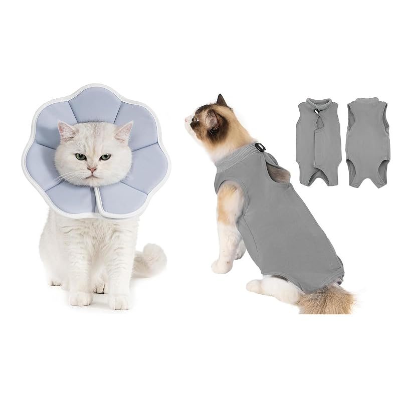 Avont Recovery Cone + Recovery Suit, grey