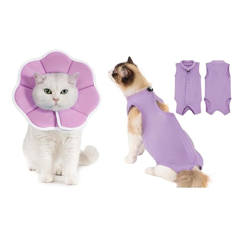 Avont Recovery Cone + Recovery Suit, purple