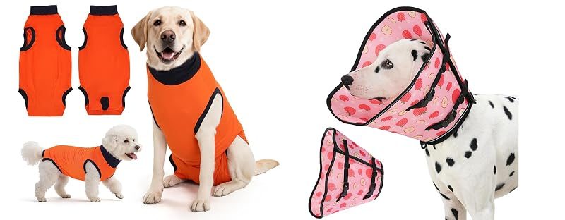 Avont Recovery Suit + Recovery Cone, size XL